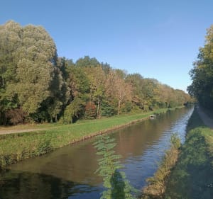 Balade à Amilly, détour par les Savoies et les Népruns - Amilly - 5