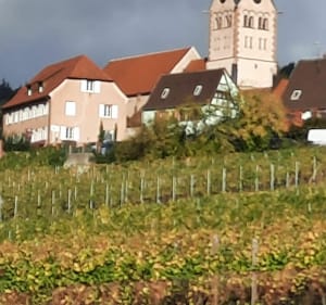 Randonnée dans le vignoble d'Itterswiller - Epfig - 3