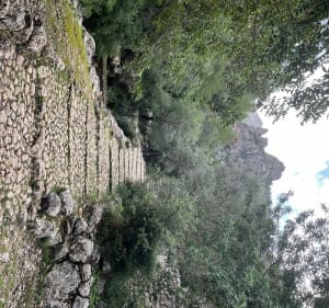 Biniaraix au Puig de l’Ofre - Biniaraix - 4