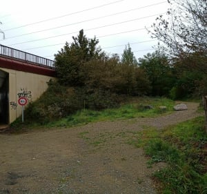 Autour du bois de Changé - Le Mans - 5