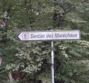 Boucle Dampierre - Les Marechaux depuis Les Essarts le Roi. - Les Essarts-le-Roi - 3