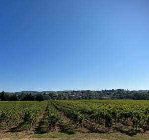 Balade entre Salernes - Entrecasteaux - Carces - Cotignac - Salernes - 4