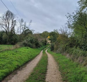 De Chezelles à Vouneuil par le Bois du Fou à VTT - Naintré - 3