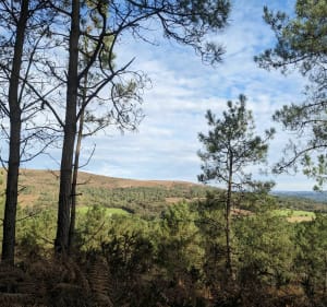 Du pied du Ménez-Hom au Run Vras - Dinéault - 3
