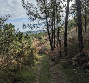 Du pied du Ménez-Hom au Run Vras - Dinéault - 4