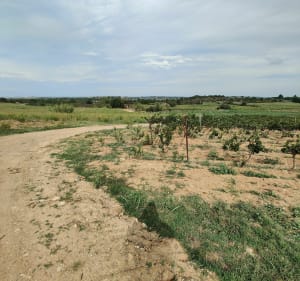 Balade en VTT dans les vignes au départ du village Catalalan - Banyuls-dels-Aspres - 3