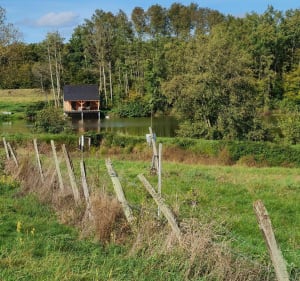 Randonnée vtt accessible à tous à Saint Martin en Bresse - Saint-Martin-en-Bresse - 3