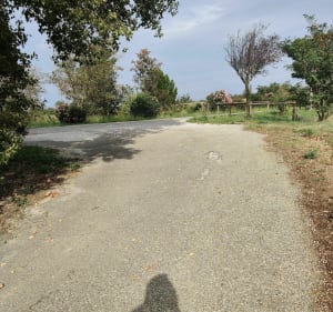 Balade en VTT dans les vignes au départ du village Catalalan - Banyuls-dels-Aspres - 4