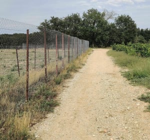 Balade en VTT dans les vignes au départ du village Catalalan - Banyuls-dels-Aspres - 5