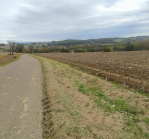Balade dans le Sundgau, par Altkirch, Seppois et Wittersdorf à vélo - Aspach - 5