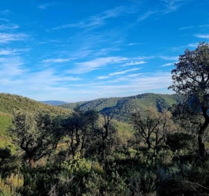 Hyères d'Ouest en Est en passant par les hauteurs - Hyères - 3