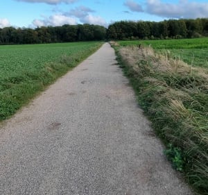 De Ruitz vers Olhain... - Ruitz - 4