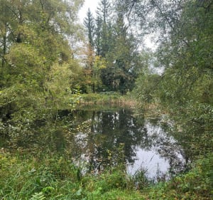 Verneuil et son château - Verneuil-en-Halatte - 5