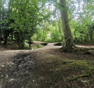 VTT - Entre Bény-sur-Mer et Thaon - Bény-sur-Mer - 3