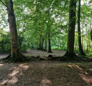 VTT - Entre Bény-sur-Mer et Thaon - Bény-sur-Mer - 5