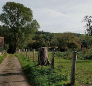 Gaudreville, Le sec Iton et Bois de la Haie - Gaudreville-la-Rivière - 4
