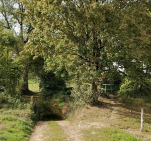 Gaudreville, Le sec Iton et Bois de la Haie - Gaudreville-la-Rivière - 5