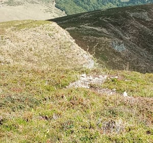 Belle randonnée entre le lioran, bec de l aigle et Murat. - Laveissière - 3