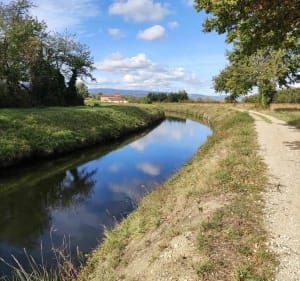 Tour de Sury le Comtal - Sury-le-Comtal - 3