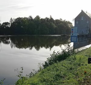 La Mayenne de Feneu à Montreuil sur Maine par Gretz-Neuville - Feneu - 4