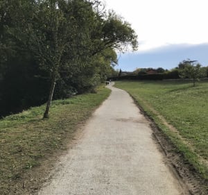 La Ramée depuis le lac François Soula (Plaisance du Touch) - Plaisance-du-Touch - 3