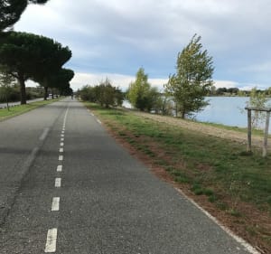 La Ramée depuis le lac François Soula (Plaisance du Touch) - Plaisance-du-Touch - 4
