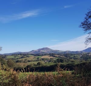 Balade sur les hauteurs d'Espelette - Espelette - 4