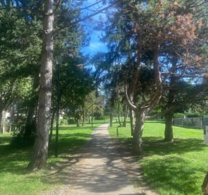 Balade de la forêt au quai de Seine - Conflans-Sainte-Honorine - 3