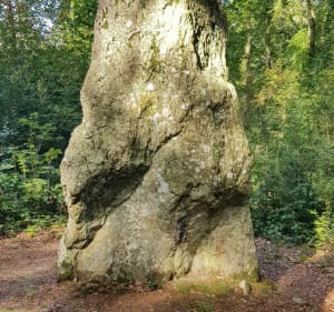 Vallée du Couesnon-Forêt de Haute-Sève - Mézières-sur-Couesnon - 5