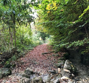Boucle du Moulin de l’étang vers La Croix de Sevrier - Sévrier - 3