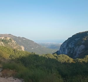 Het Bois de Gourdon, zijn kapel en paddenstoelenjacht - Gourdon - 3