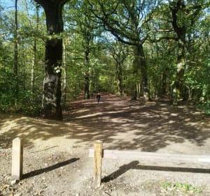 Jolie Boucle VTT en forêt de Clamart et Meudon - Clamart - 4