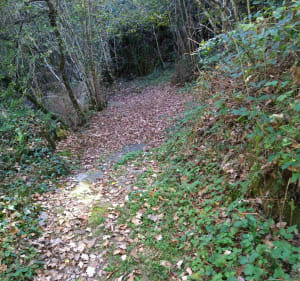 Balade à Evaux-les-bains des Rochers Bochs et des Thermes - Évaux-les-Bains - 5