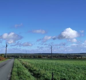 Boucle au départ de Parigné vers l'étang de Loudon - Parigné-l'Évêque - 3