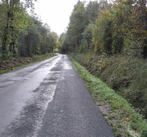Boucle au départ de Parigné vers l'étang de Loudon - Parigné-l'Évêque - 4