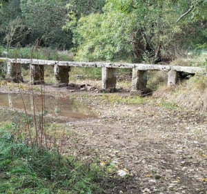 De Pranzac aux sources de la Touvre en passant par le GR4 - Pranzac - 3