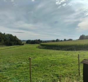 Balade Bailleul - Armentières avec de belles vues Flandres - Bailleul - 4
