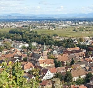 De Katzenthal à Niedermorschwihr et Turckheim par les vignes - Katzenthal - 3