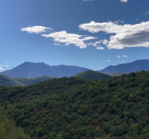 Sentier du Cap de Pouy depuis Régades - Régades - 4