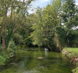 Les berges de l'Iton depuis Arnières - Arnières-sur-Iton - 3
