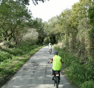Boucle Piriac sur Mer / Careil par Guérande - Piriac-sur-Mer - 4