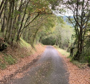 Sentier du Cap de Pouy depuis Régades - Régades - 5