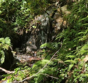 Les jardins de Barbot et le Rocher du Busatier - Marcillac-la-Croisille - 3
