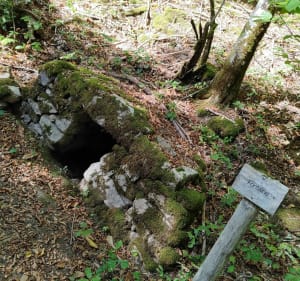 Les jardins de Barbot et le Rocher du Busatier - Marcillac-la-Croisille - 4