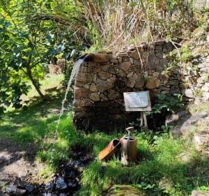 Les jardins de Barbot et le Rocher du Busatier - Marcillac-la-Croisille - 5