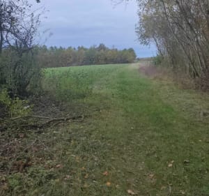 Sur les hauts de Charmois et Bois de Barbonville à VTT - Damelevières - 3