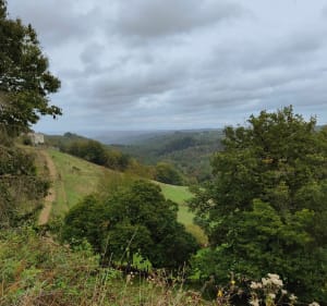Veille pierres et paysages à la Chapelle-Saint-Géraud - La Chapelle-Saint-Géraud - 5