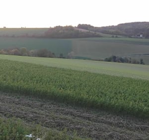 Balade au départ du château de Thoix par la Folie - Thoix - 4