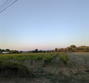 Belle balade autour du sentier des jardiniers invisibles - Villevieille - 5