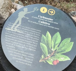 U Chjassu di i Carbunari- Le chemin descharbonniers. - Valle-di-Mezzana - 5